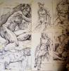 Charcoal drawings A1 size and more than A1 - click here to see an enlargement